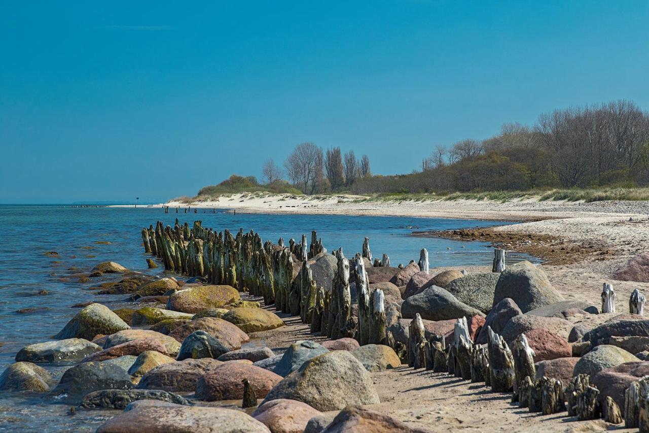 Fewo 1 Wiek auf Rugen Bagian luar foto